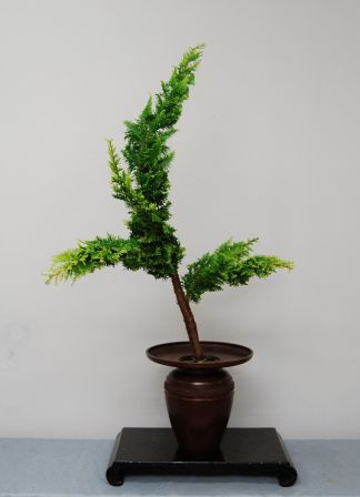 ႭЂ΁E^^width=