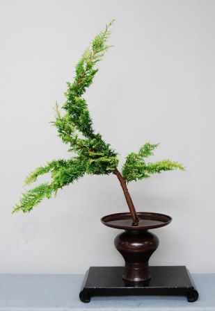 ႭЂ΁E^^width=